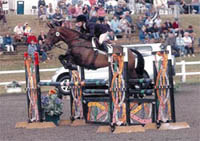 Show Jumping