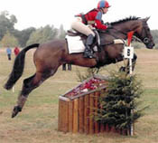 Show Jumping